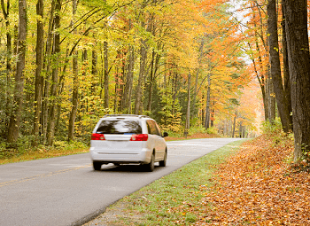 a car driving down a street next to a tree