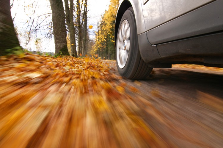 car driving in autumn